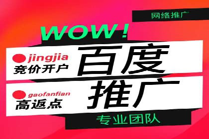 SEM托管实战案例：揭秘高效广告投放秘诀